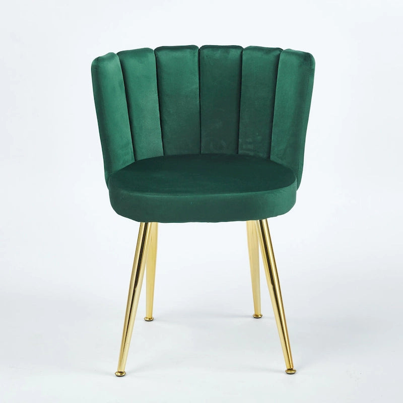 Velvet Dining Chairs with Gold Legs (Set of 2)