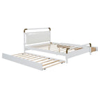 Queen Wood Platform Bed with 2 Drawers & Twin XL Trundle