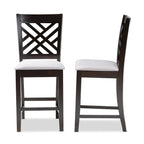 Modern and Contemporary Counter Stool 2-Piece Set