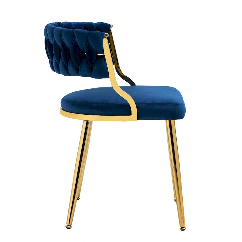 Modern Velvet Dining Chairs Set of 4