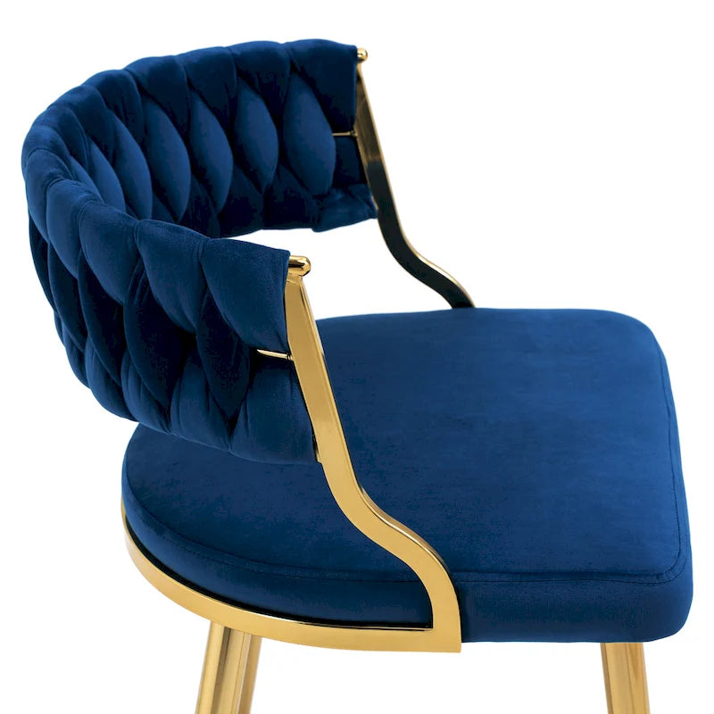 Modern Velvet Dining Chairs Set of 4