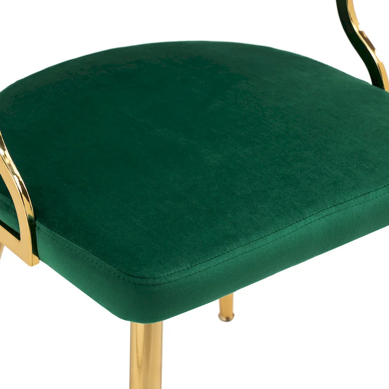 Modern Velvet Dining Chairs Set of 4