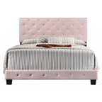 Pink Velvet Platform Bed with Nailhead Trim, Queen Size