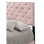Pink Velvet Platform Bed with Nailhead Trim, Queen Size