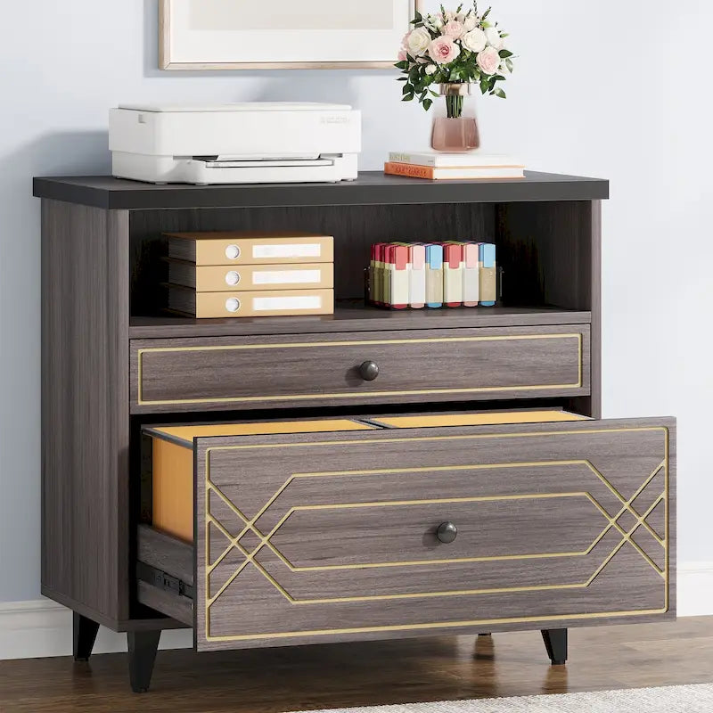 [Give Up] Office File Cabinet with Shelf, 2 Drawer Lateral Filing Cabinet for Letter Size