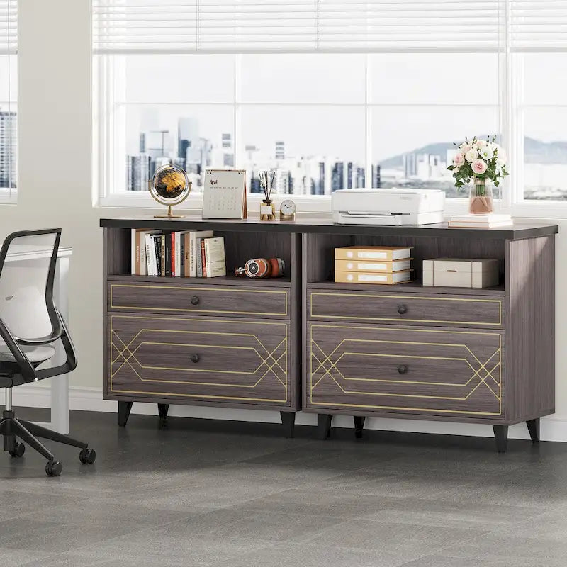 [Give Up] Office File Cabinet with Shelf, 2 Drawer Lateral Filing Cabinet for Letter Size