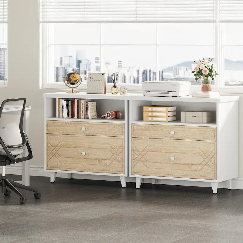 [Give Up] Office File Cabinet with Shelf, 2 Drawer Lateral Filing Cabinet for Letter Size