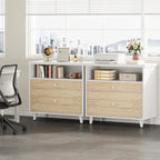 [Give Up] Office File Cabinet with Shelf, 2 Drawer Lateral Filing Cabinet for Letter Size