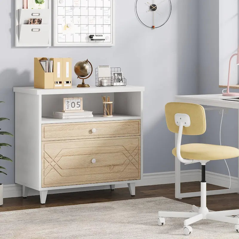 [Give Up] Office File Cabinet with Shelf, 2 Drawer Lateral Filing Cabinet for Letter Size