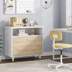 [Give Up] Office File Cabinet with Shelf, 2 Drawer Lateral Filing Cabinet for Letter Size
