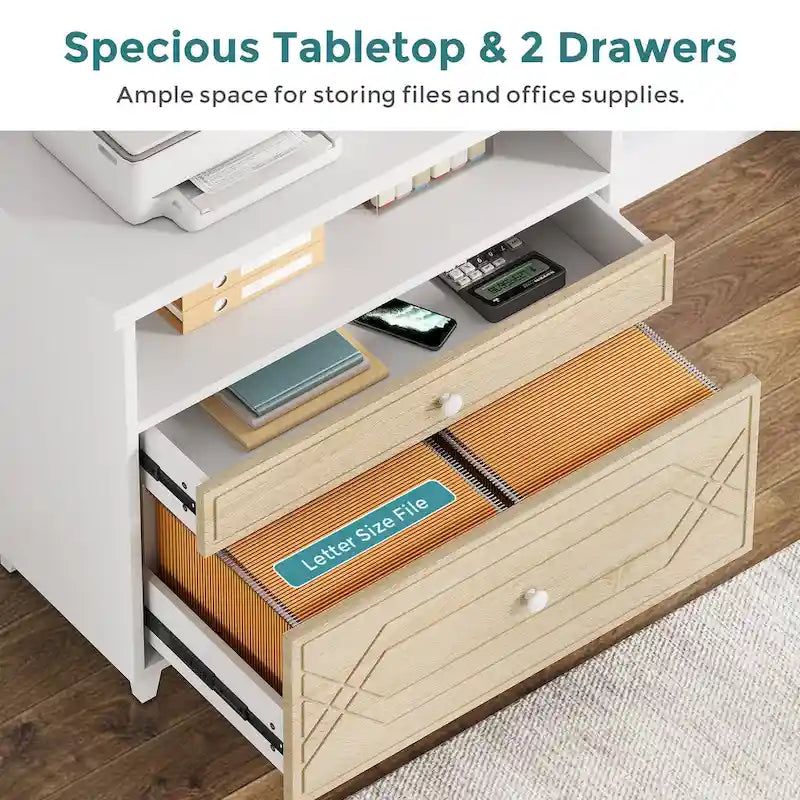 [Give Up] Office File Cabinet with Shelf, 2 Drawer Lateral Filing Cabinet for Letter Size