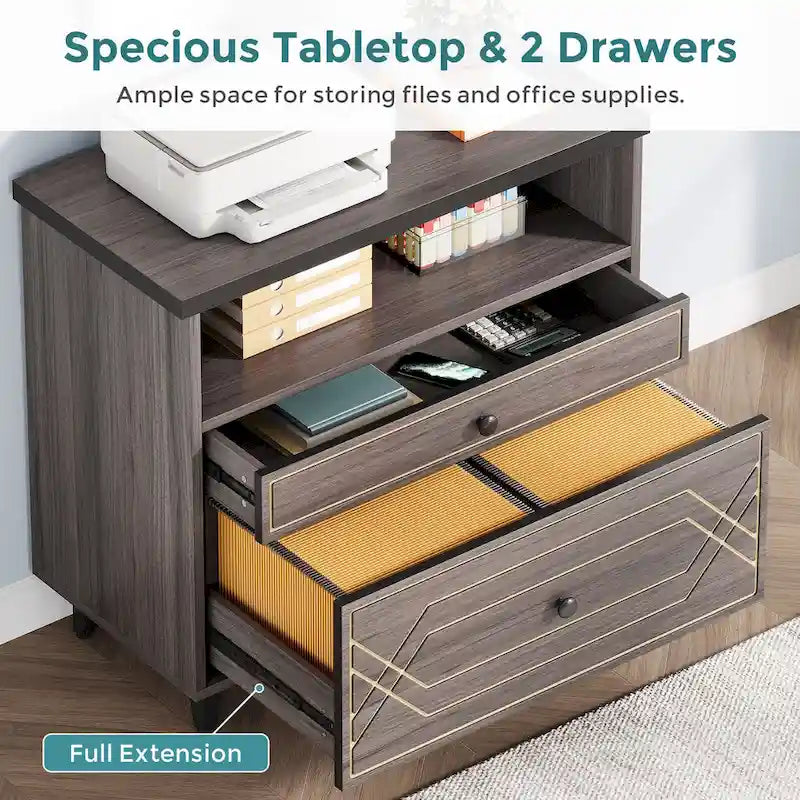 [Give Up] Office File Cabinet with Shelf, 2 Drawer Lateral Filing Cabinet for Letter Size
