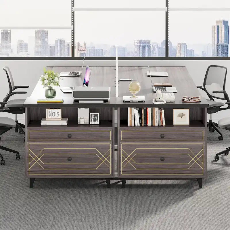 [Give Up] Office File Cabinet with Shelf, 2 Drawer Lateral Filing Cabinet for Letter Size